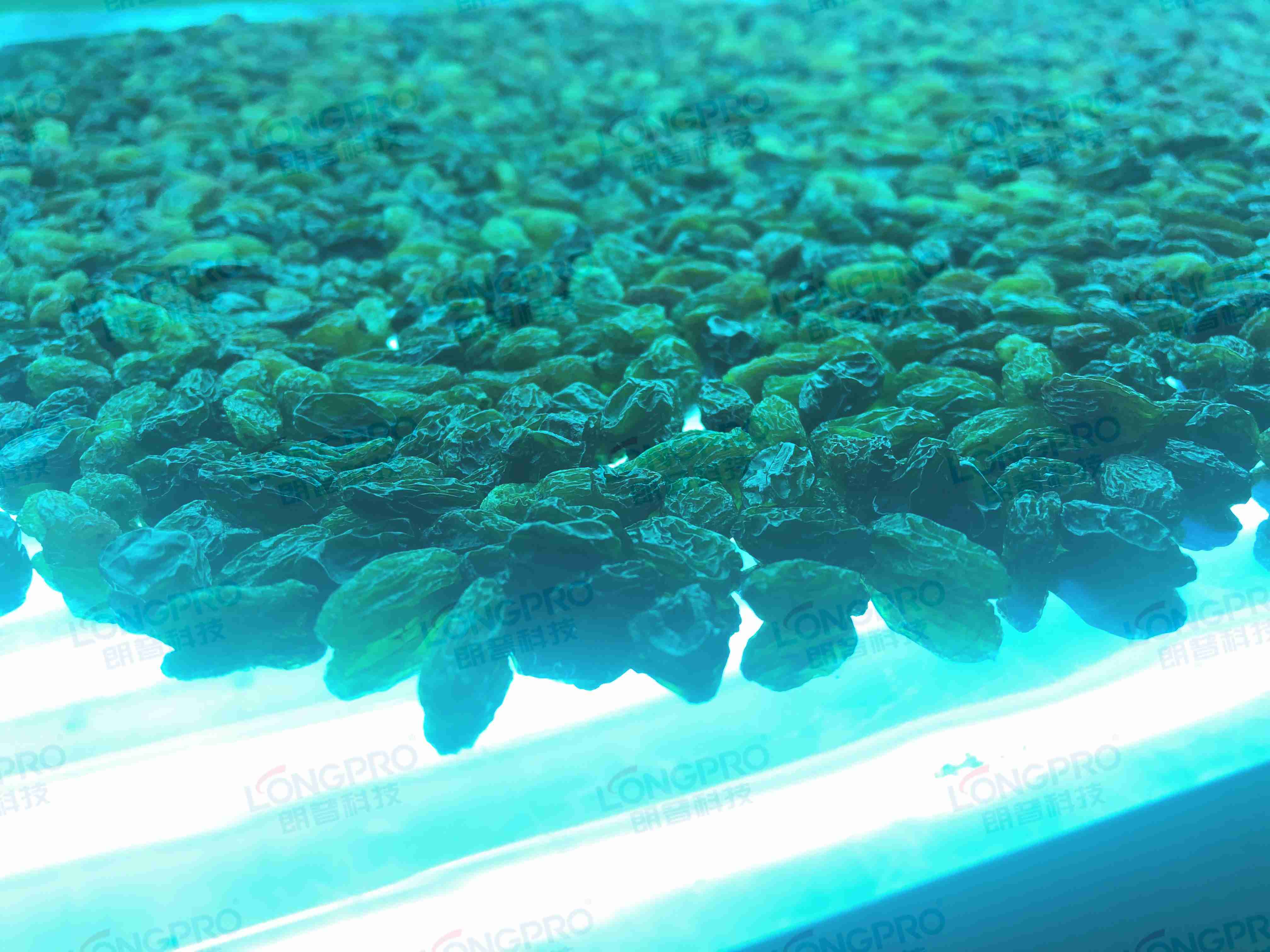 食品細(xì)菌超標(biāo)怎么解決？utf-8