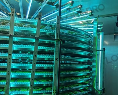 食品廠防爆紫外線殺菌燈：保障食品生產(chǎn)環(huán)境安全的利器！