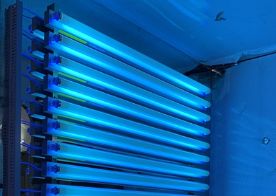 如何通過UV紫外光照實(shí)驗(yàn)箱構(gòu)建動(dòng)物皮膚光老化模型？